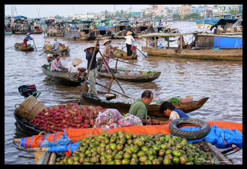 Tham quan vẻ đẹp chợ nổi Cái Bè 